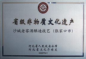 2009年，荣获“省级非物质文化遗产”